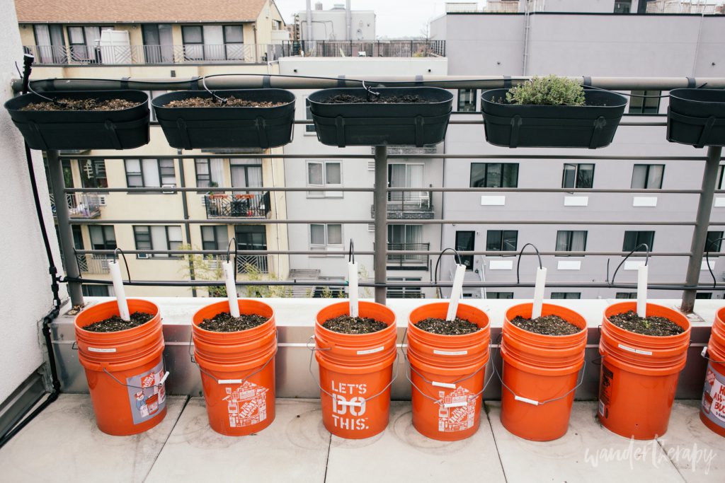 Container Gardening How We Grow Fresh Veggies On A Terrace Wander Container Gardening Drip Irrigation