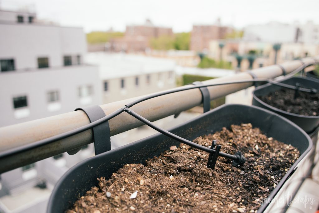 Container Gardening How We Grow Fresh Veggies On A Terrace Wander Container Gardening Drip Irrigation Line
