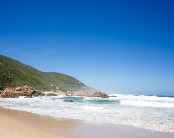 Guide to Robberg Nature Preserve, Plettenberg Bay