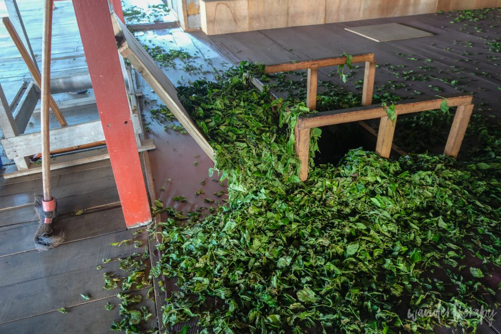 Best Things in Sri Lanka